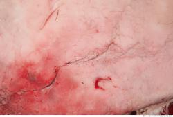 Photo Textures of RAW Pork Meat